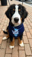 Load image into Gallery viewer, Lake Pup Dog Bandana - Navy Blue
