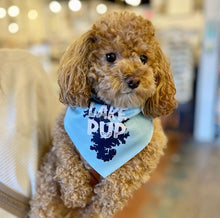 Load image into Gallery viewer, Lake Pup Dog Bandana - Sky Blue