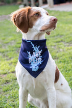 Load image into Gallery viewer, Lake Pup Dog Bandana - Navy Blue