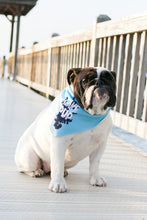 Load image into Gallery viewer, Lake Pup Dog Bandana - Sky Blue