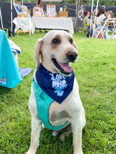 Load image into Gallery viewer, Lake Pup Dog Bandana - Navy Blue
